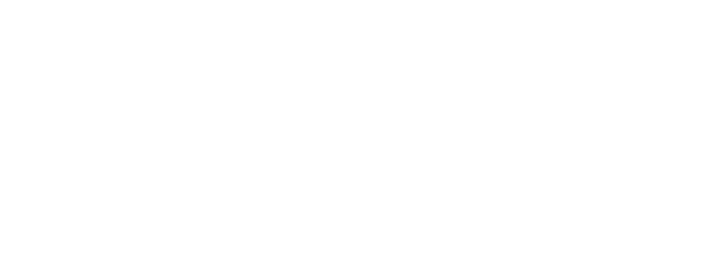 Logo Scardino Technology.